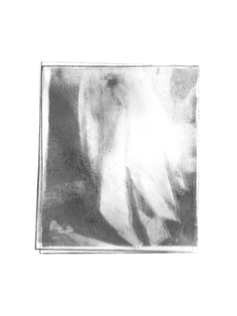 Évanescence 4