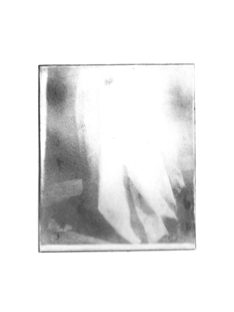 Évanescence 5